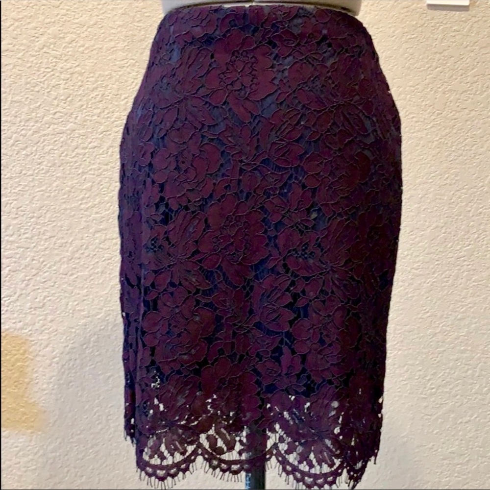 NWT, Banana Republic lace skirt, fits 2